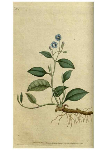 Reproducción/Reproduction 35127284356: The Botanical magazine, or, Flower-garden displayed ... /. [S.l. :s.n.],1790-1800 ;