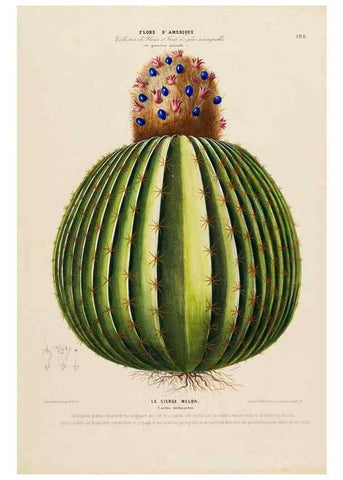 Reproducción/Reproduction 34313260600: Flore d'Amérique,. Paris,Gihaut[1843-1846]