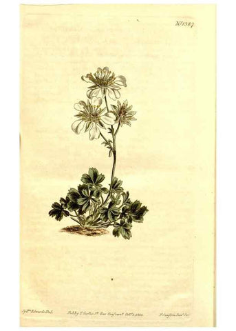 Reproducción/Reproduction 34325003334: Curtis's botanical magazine.. London ; New York [etc.] :Academic Press [etc.]