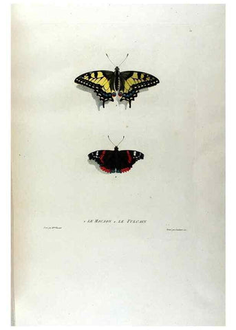 Reproducción/Reproduction 24211034324: Études de fleurs et de fruits :. Paris :Chez Bance aîné, Md. d'Etampes,[1820?]
