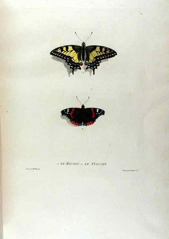 Reproducción/Reproduction 24211034324: Études de fleurs et de fruits :. Paris :Chez Bance aîné, Md. d'Etampes,[1820?]