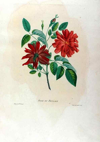 Reproducción/Reproduction 24745741051: Études de fleurs et de fruits :. Paris :Chez Bance aîné, Md. d'Etampes,[1820?]