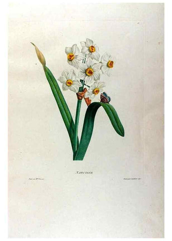Reproducción/Reproduction 24543689880: Études de fleurs et de fruits :. Paris :Chez Bance aîné, Md. d'Etampes,[1820?]