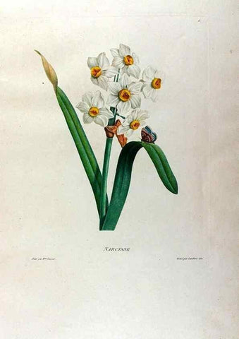 Reproducción/Reproduction 24543689880: Études de fleurs et de fruits :. Paris :Chez Bance aîné, Md. d'Etampes,[1820?]