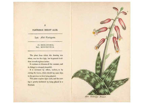 Reproducción/Reproduction 24850791301: Fifty plates of green-house plants, drawn and coloured from nature :. London :Printed for the author by T. Bensley,1807.