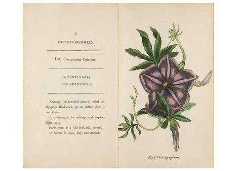 Reproducción/Reproduction 24576501529: Fifty plates of green-house plants, drawn and coloured from nature :. London :Printed for the author by T. Bensley,1807.