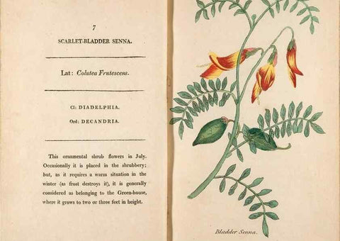 Reproducción/Reproduction 24826171752: Fifty plates of green-house plants, drawn and coloured from nature :. London :Printed for the author by T. Bensley,1807.