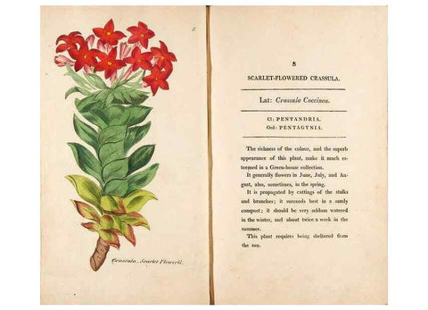 Reproducción/Reproduction 24944129795: Fifty plates of green-house plants, drawn and coloured from nature :. London :Printed for the author by T. Bensley,1807.
