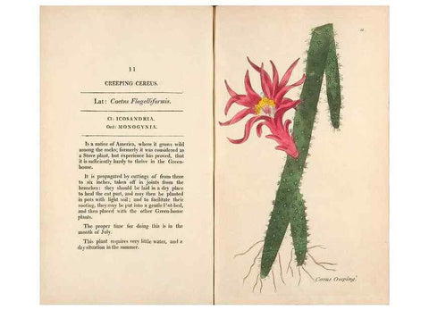 Reproducción/Reproduction 24317306083: Fifty plates of green-house plants, drawn and coloured from nature :. London :Printed for the author by T. Bensley,1807.