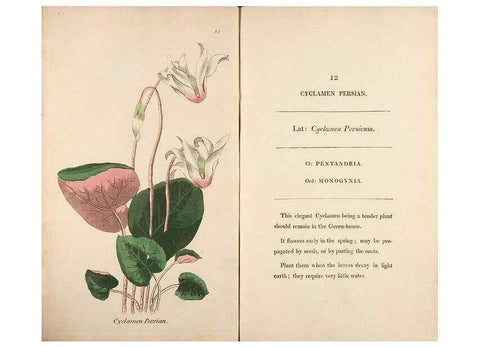 Reproducción/Reproduction 24576525549: Fifty plates of green-house plants, drawn and coloured from nature :. London :Printed for the author by T. Bensley,1807.