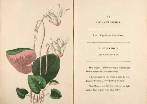 Reproducción/Reproduction 24576525549: Fifty plates of green-house plants, drawn and coloured from nature :. London :Printed for the author by T. Bensley,1807.