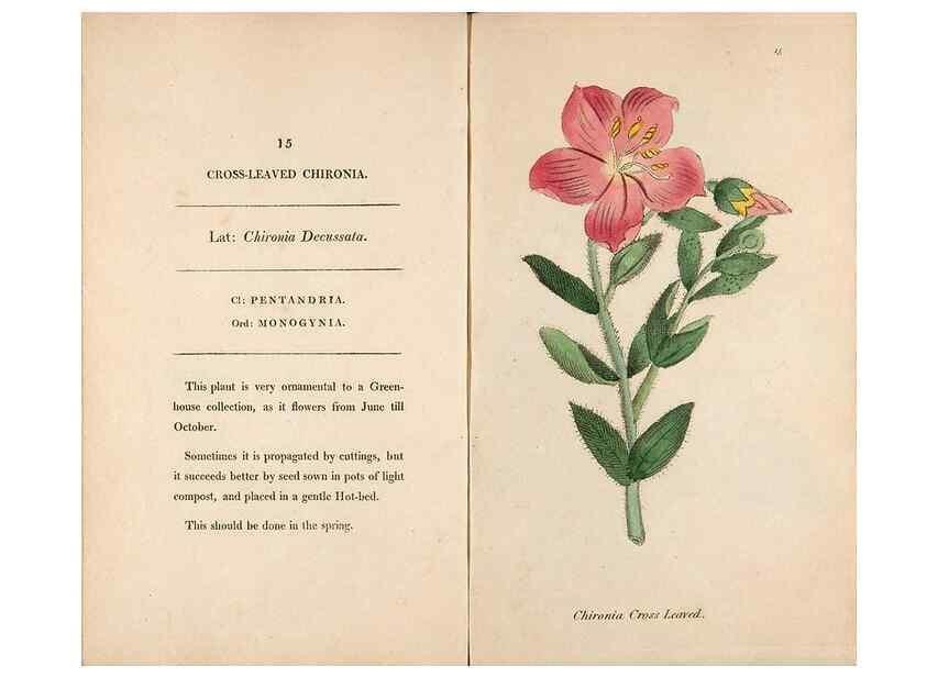 Reproducción/Reproduction 24317322063: Fifty plates of green-house plants, drawn and coloured from nature :. London :Printed for the author by T. Bensley,1807.