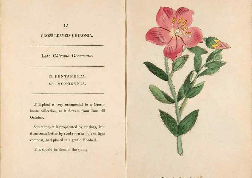 Reproducción/Reproduction 24317322063: Fifty plates of green-house plants, drawn and coloured from nature :. London :Printed for the author by T. Bensley,1807.
