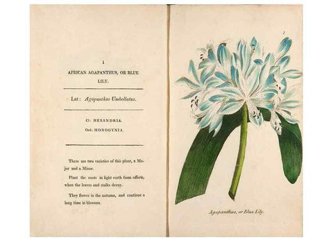 Reproducción/Reproduction 24850785921: Fifty plates of green-house plants, drawn and coloured from nature :. London :Printed for the author by T. Bensley,1807.