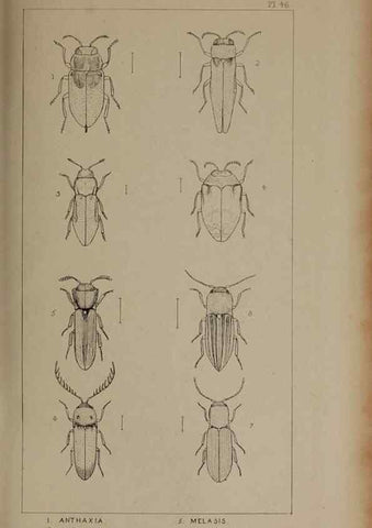 Reproducción/Reproduction 24539109292: The British Coleoptera delineated,. London,W. Crofts,1840.