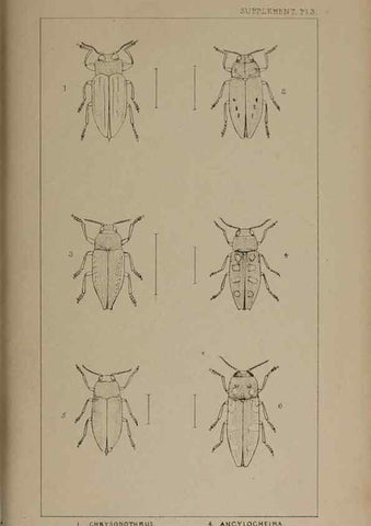 Reproducción/Reproduction 24647640245: The British Coleoptera delineated,. London,W. Crofts,1840.