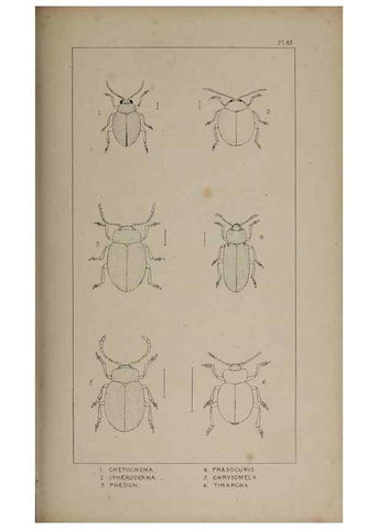 Reproducción/Reproduction 24020820383: The British Coleoptera delineated,. London,W. Crofts,1840.