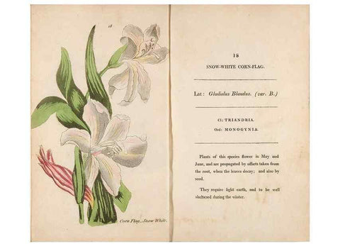 Reproducción/Reproduction 24850848311: Fifty plates of green-house plants, drawn and coloured from nature :. London :Printed for the author by T. Bensley,1807.