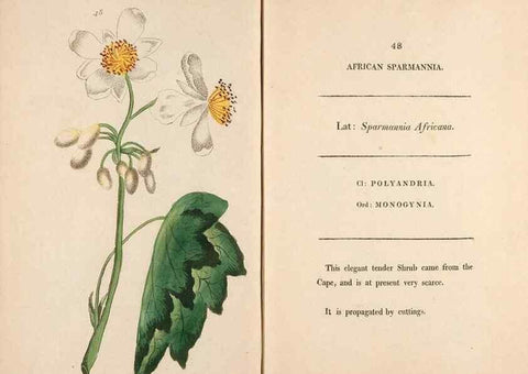 Reproducción/Reproduction 24313688324: Fifty plates of green-house plants, drawn and coloured from nature :. London :Printed for the author by T. Bensley,1807.