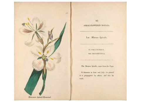 Reproducción/Reproduction 24917960326: Fifty plates of green-house plants, drawn and coloured from nature :. London :Printed for the author by T. Bensley,1807.
