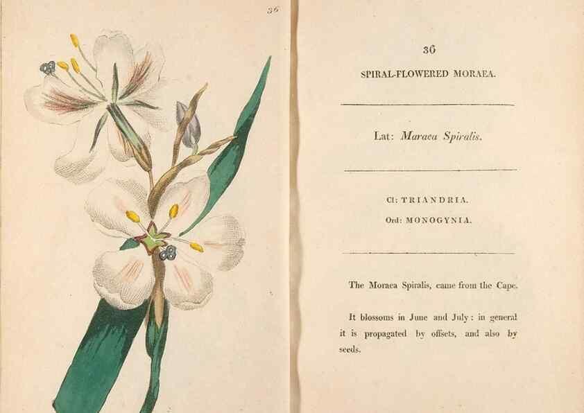 Reproducción/Reproduction 24917960326: Fifty plates of green-house plants, drawn and coloured from nature :. London :Printed for the author by T. Bensley,1807.