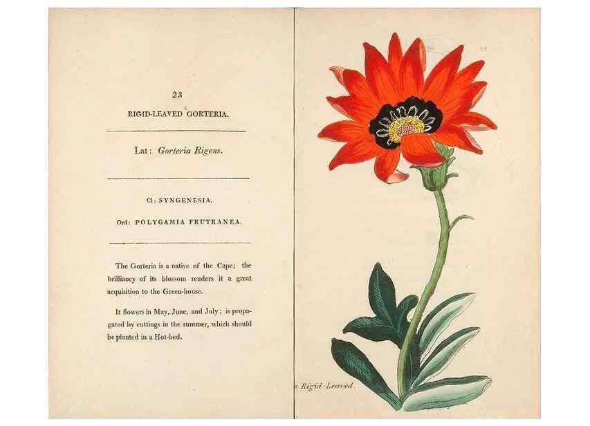 Reproducción/Reproduction 24850864521: Fifty plates of green-house plants, drawn and coloured from nature :. London :Printed for the author by T. Bensley,1807.