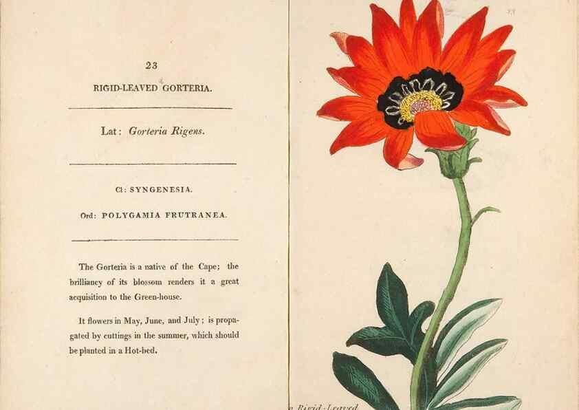 Reproducción/Reproduction 24850864521: Fifty plates of green-house plants, drawn and coloured from nature :. London :Printed for the author by T. Bensley,1807.