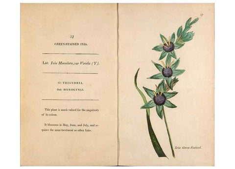 Reproducción/Reproduction 24944201235: Fifty plates of green-house plants, drawn and coloured from nature :. London :Printed for the author by T. Bensley,1807.