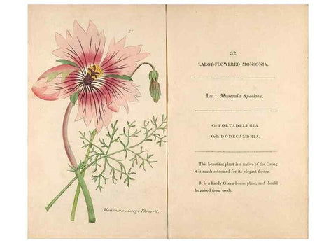 Reproducción/Reproduction 24313637094: Fifty plates of green-house plants, drawn and coloured from nature :. London :Printed for the author by T. Bensley,1807.