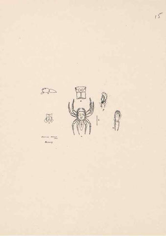 Reproducción/Reproduction 23916164403: Malaysian spiders.. Belfast :T. Workman,1896-1900.