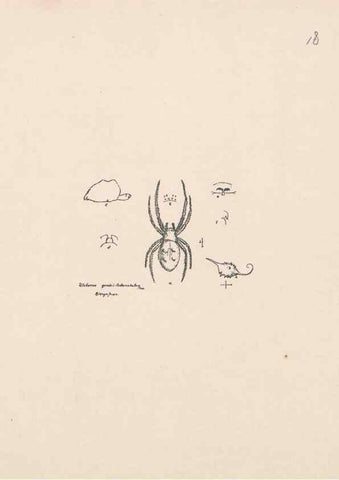 Reproducción/Reproduction 24175200489: Malaysian spiders.. Belfast :T. Workman,1896-1900.