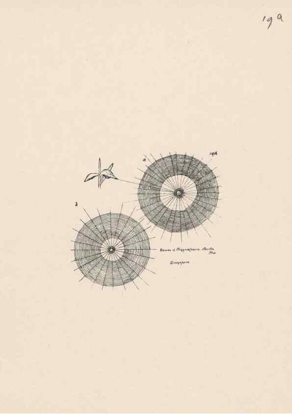 Reproducción/Reproduction 24542974715: Malaysian spiders.. Belfast :T. Workman,1896-1900.