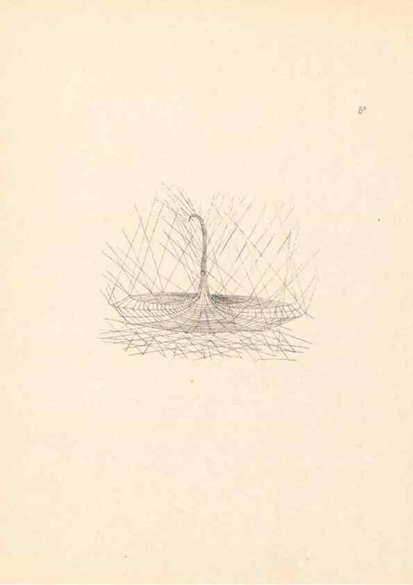 Reproducción/Reproduction 24460611861: Malaysian spiders.. Belfast :T. Workman,1896-1900.