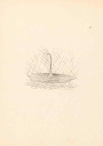 Reproducción/Reproduction 24460611861: Malaysian spiders.. Belfast :T. Workman,1896-1900.