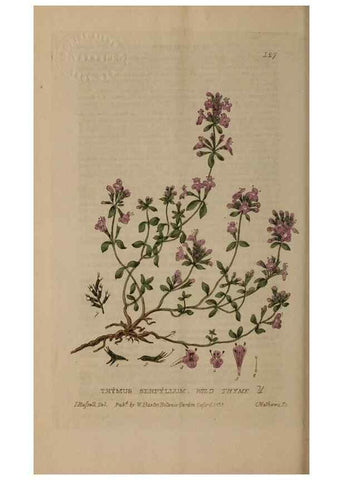 Reproducción/Reproduction 28404127753: British phaenogamous botany,. Oxford,Published by the author, sold by J.H. Parker [etc.]1834-43.