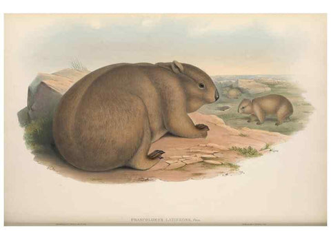 Reproducción/Reproduction 27253000676: The mammals of Australia.. London,Printed by Taylor and Francis, pub. by the author,1863.