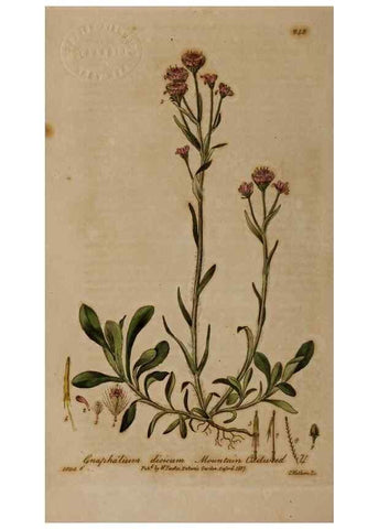 Reproducción/Reproduction 28949162181: British phaenogamous botany,. Oxford,Published by the author, sold by J.H. Parker [etc.]1834-43.