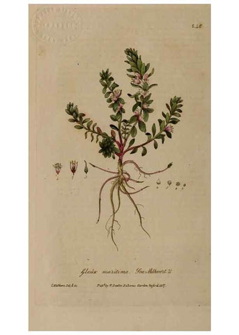 Reproducción/Reproduction 28992435186: British phaenogamous botany,. Oxford,Published by the author, sold by J.H. Parker [etc.]1834-43.
