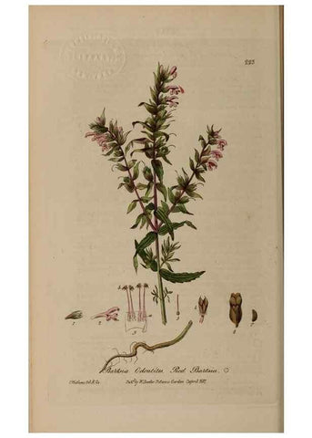 Reproducción/Reproduction 28990215306: British phaenogamous botany,. Oxford,Published by the author, sold by J.H. Parker [etc.]1834-43.