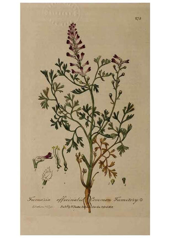 Reproducción/Reproduction 29025197115: British phaenogamous botany,. Oxford,Published by the author, sold by J.H. Parker [etc.]1834-43.