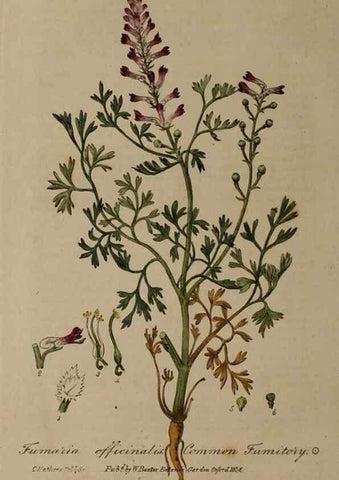 Reproducción/Reproduction 29025197115: British phaenogamous botany,. Oxford,Published by the author, sold by J.H. Parker [etc.]1834-43.