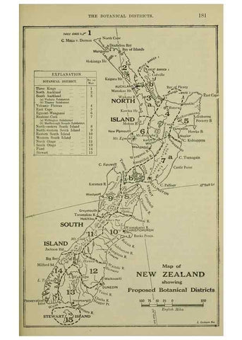 Reproducción/Reproduction 27132140871: New Zealand plants and their story.. Wellington, N.Z.,M.F. Marks, Govt. Printer,1919.