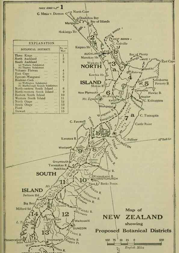 Reproducción/Reproduction 27132140871: New Zealand plants and their story.. Wellington, N.Z.,M.F. Marks, Govt. Printer,1919.
