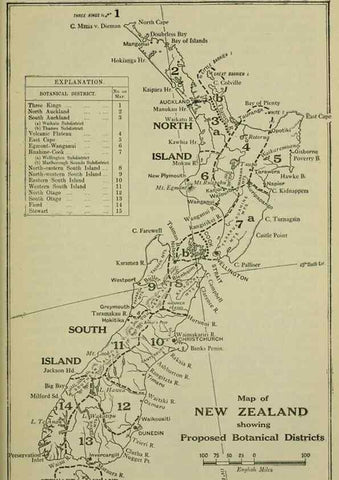 Reproducción/Reproduction 27132140871: New Zealand plants and their story.. Wellington, N.Z.,M.F. Marks, Govt. Printer,1919.