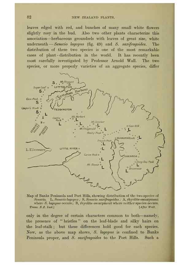 Reproducción/Reproduction 27167261766: New Zealand plants and their story.. Wellington, N.Z.,M.F. Marks, Govt. Printer,1919.