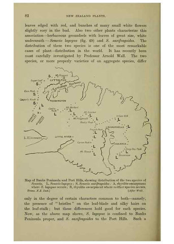 Reproducción/Reproduction 27167261766: New Zealand plants and their story.. Wellington, N.Z.,M.F. Marks, Govt. Printer,1919.