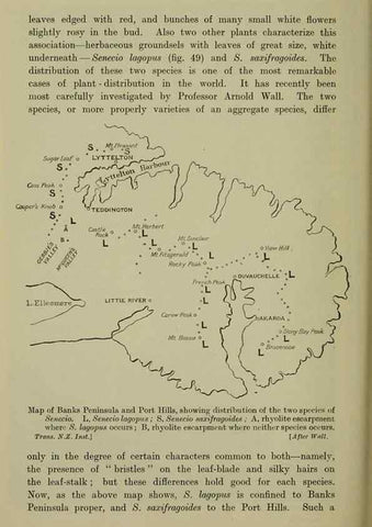 Reproducción/Reproduction 27167261766: New Zealand plants and their story.. Wellington, N.Z.,M.F. Marks, Govt. Printer,1919.