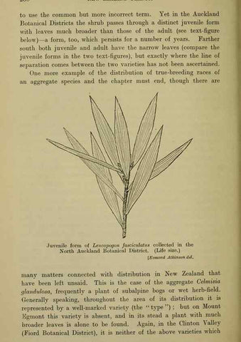 Reproducción/Reproduction 26596182793: New Zealand plants and their story.. Wellington, N.Z.,M.F. Marks, Govt. Printer,1919.