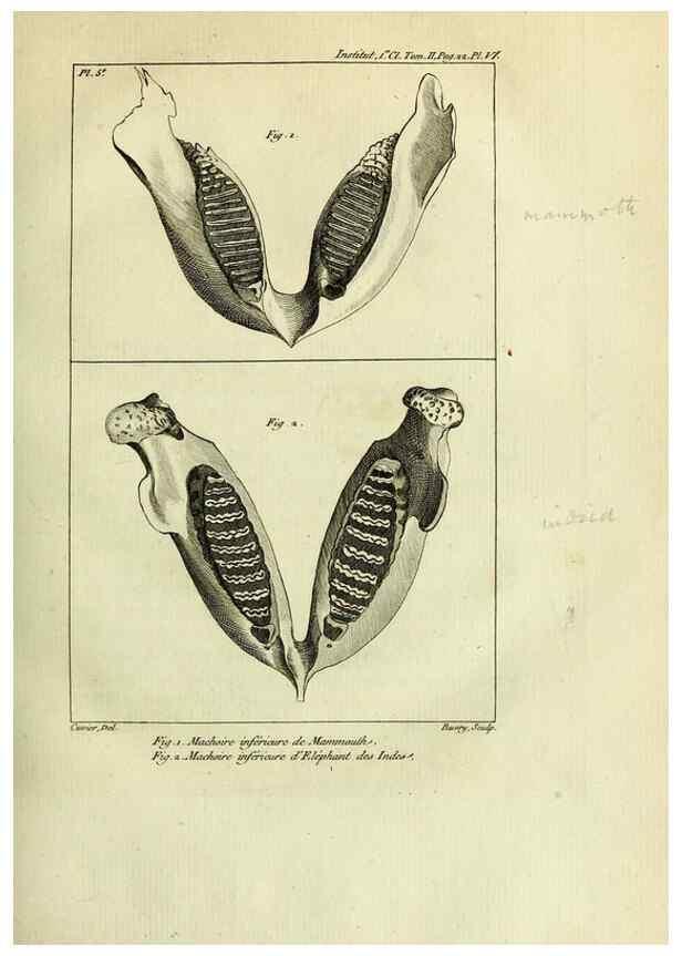Reproducción/Reproduction 20420422143: Mémoires de l'Institut des Sciences et Arts.. Paris.