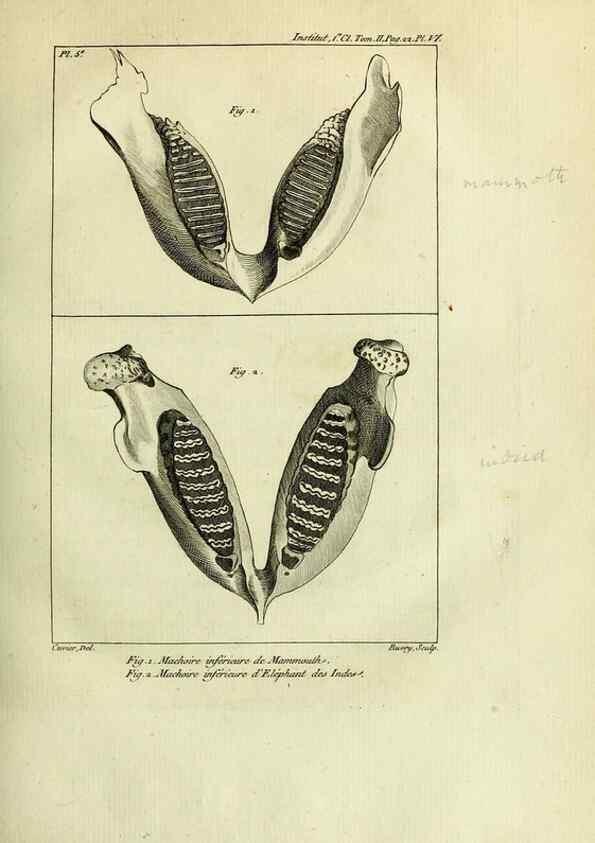 Reproducción/Reproduction 20420422143: Mémoires de l'Institut des Sciences et Arts.. Paris.